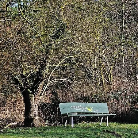 In Unzenberg Hunsrueck By Interhome Gobenhausen