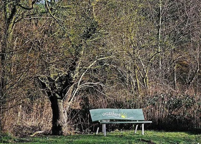 In Unzenberg Hunsrueck By Interhome Gobenhausen